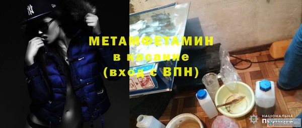 твердый Бородино