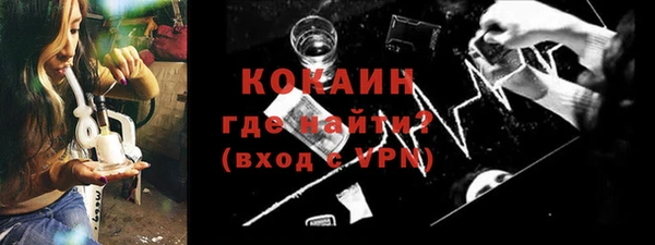 твердый Бородино