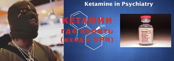 твердый Бородино