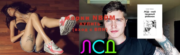 твердый Бородино