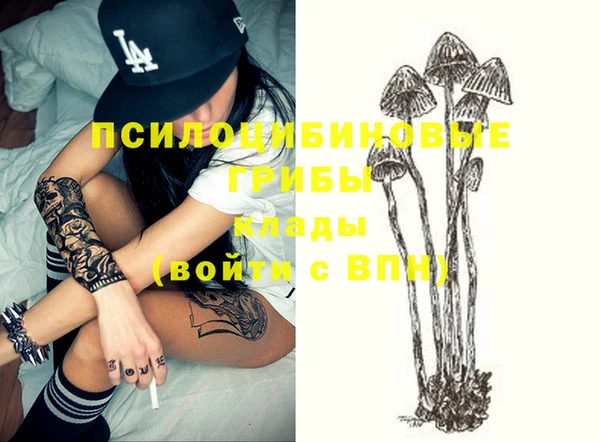 твердый Бородино