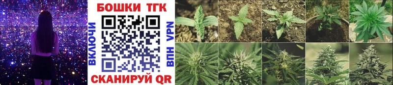 Купить где Моздок Каннабис гибрид